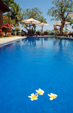 Frangipani Beach Villa Swimming-Pool